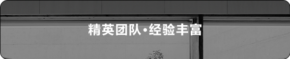 精英团队、经验丰富